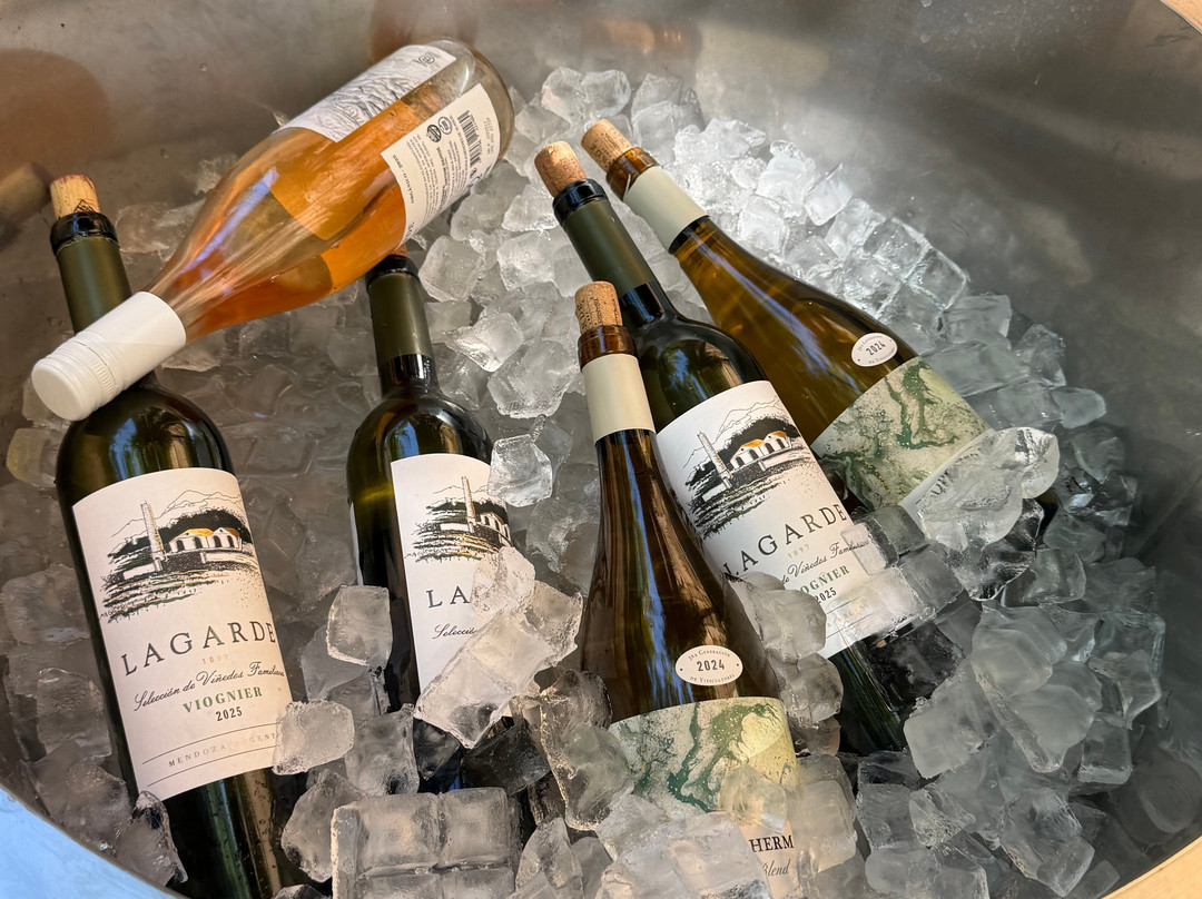 Bodega Lagarde-路冉得库约必去景点