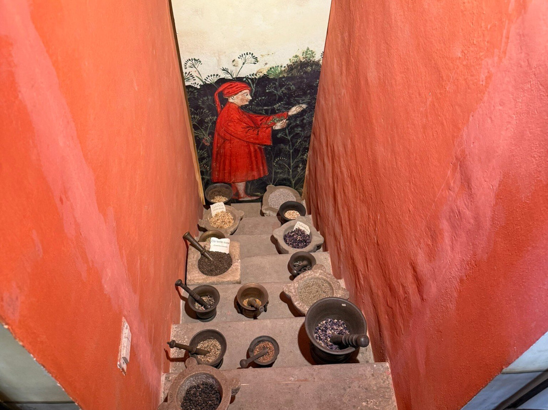 Aboca Museum-圣塞波尔克罗必去景点