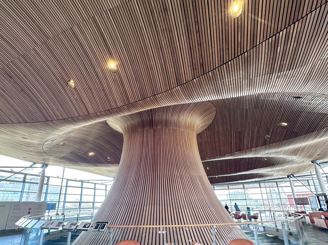 Senedd-卡迪夫必去景点