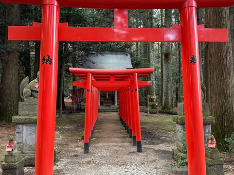 Otawara Shrine-太田原市必去景点