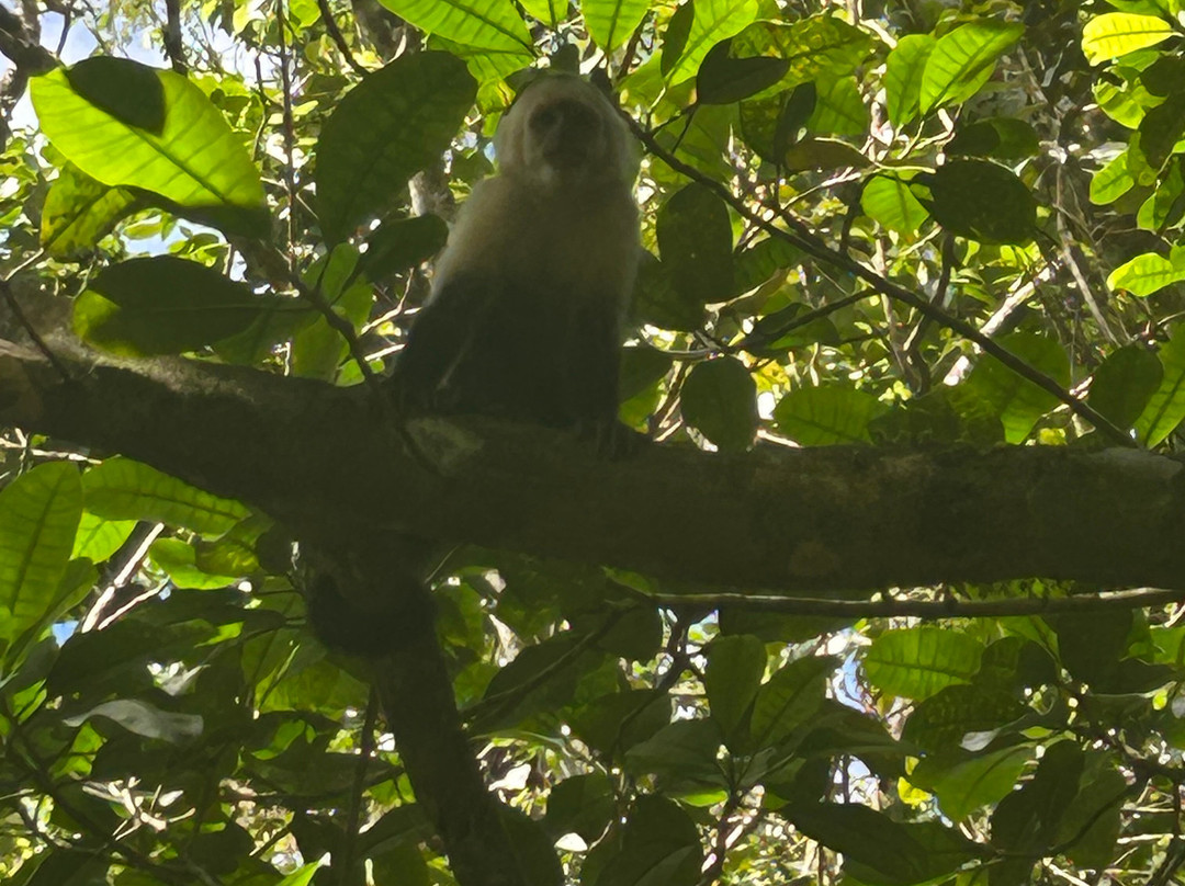 Royal Service Tours-利比里亚必去景点