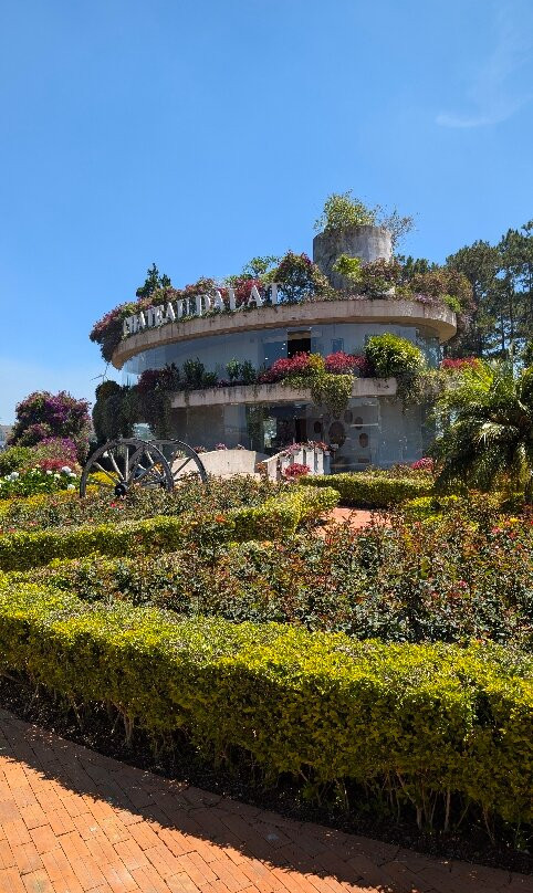 DaLat Day Tours-大勒必去景点