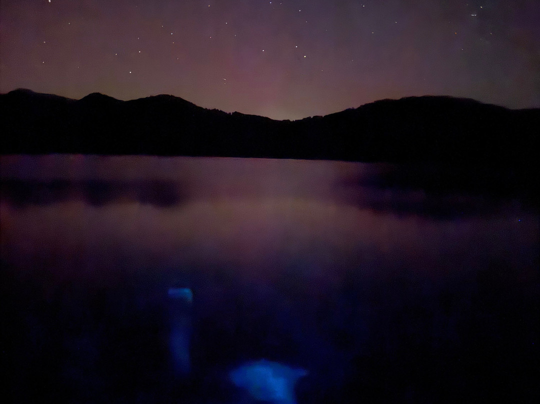 Tawa Cove Cabins-Endeavour Inlet必去景点