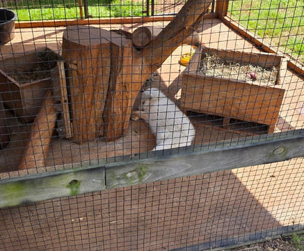 Georgia Untamed Zoo-Hogansville必去景点