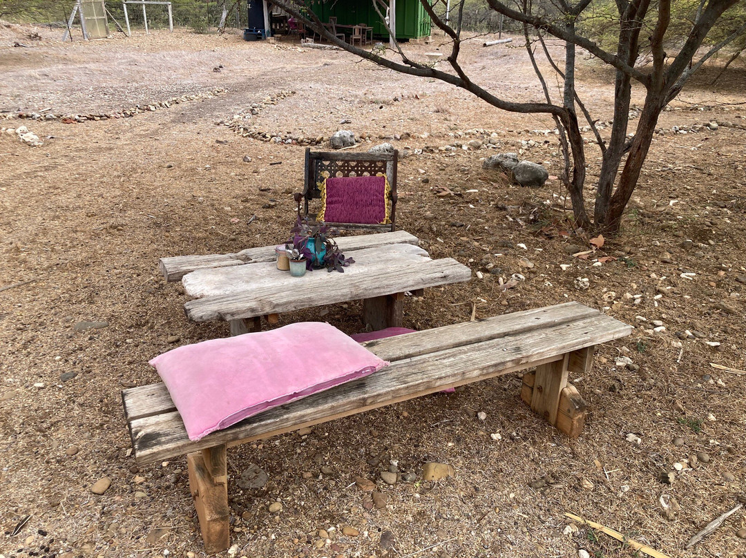 Aletta's Goat Farm (by Appointment Only)-博奈尔岛必去景点