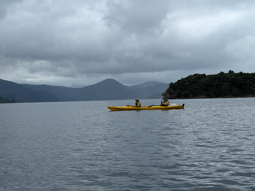 Wilderness Guides - Day Tours-皮克顿必去景点