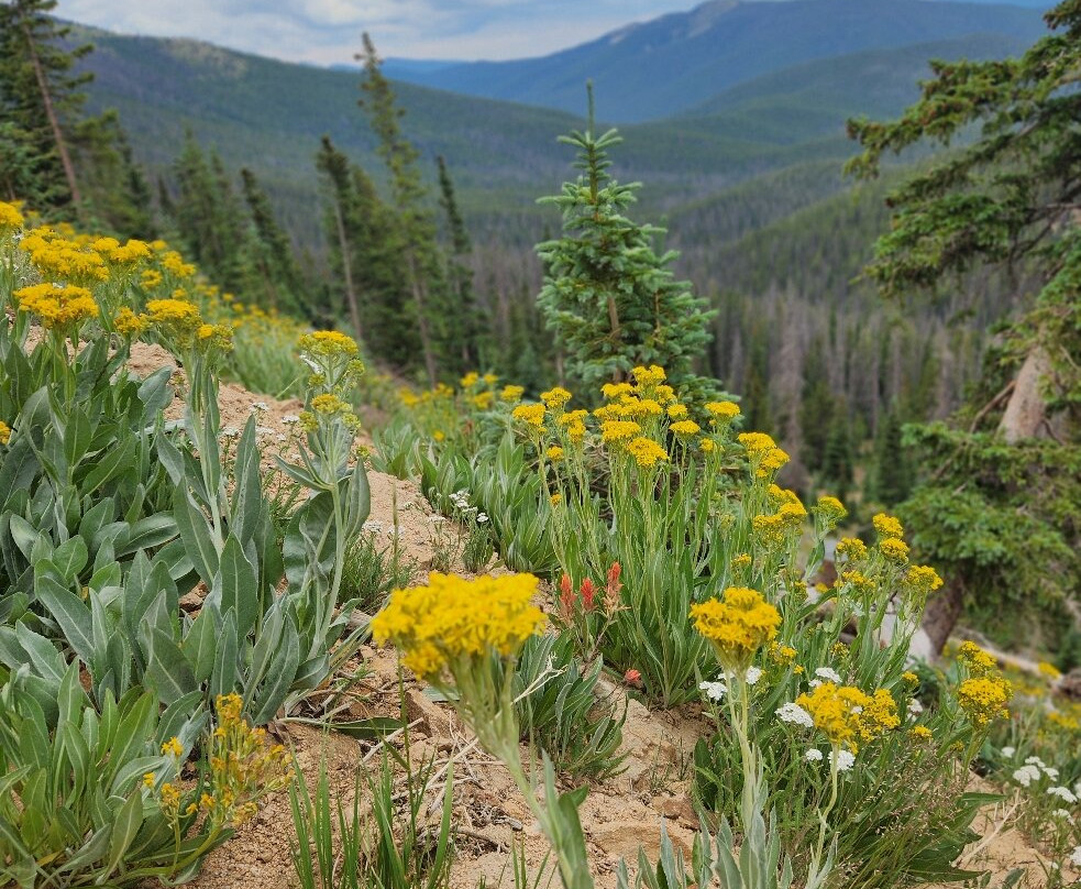Monarch Pass-Monarch必去景点