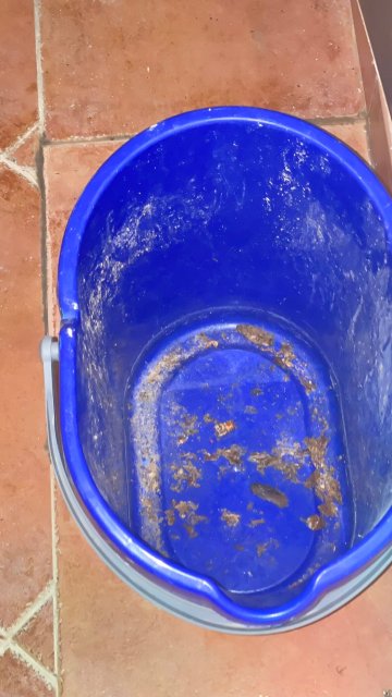 兰萨罗特秘密度假村及SPA中心 - 限成人（18 岁以上）-官方