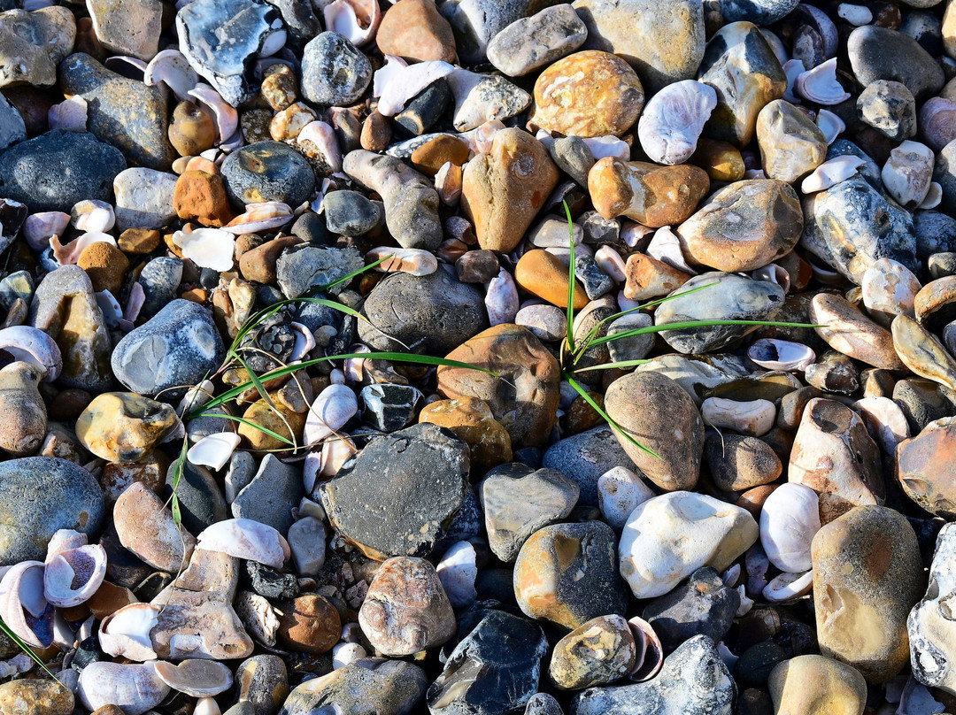 Littlehampton Beach-利特尔汉普顿必去景点