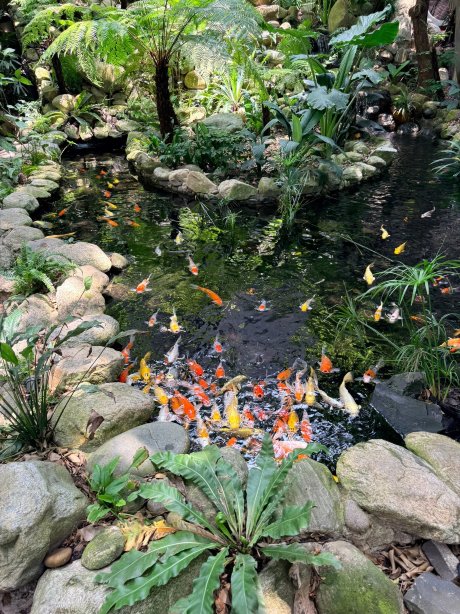 An Lam Retreats Saigon River-官方