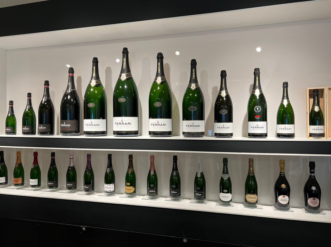 Cantine Ferrari F.lli Lunelli-特伦托必去景点