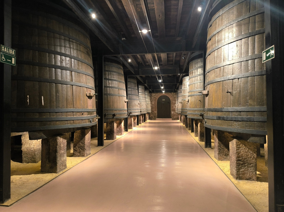 Bodegas Franco Espanolas-洛格罗尼奥必去景点