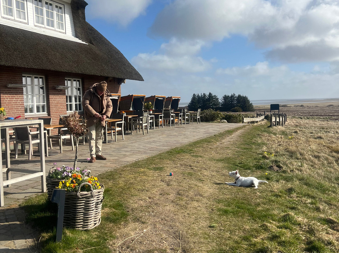 蓝德豪斯塞韦林酒店主图