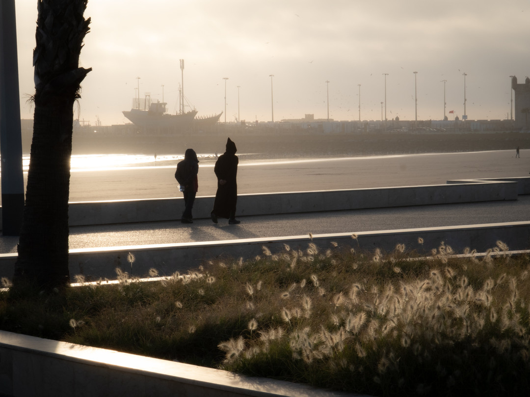 Private Morocco Driver-马拉喀什必去景点