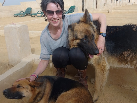 Desert Dreams-卢克索必去景点