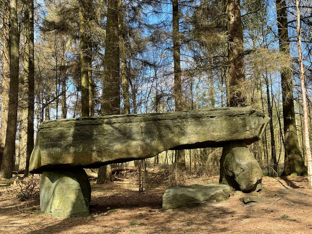 Druids Temple-里彭必去景点
