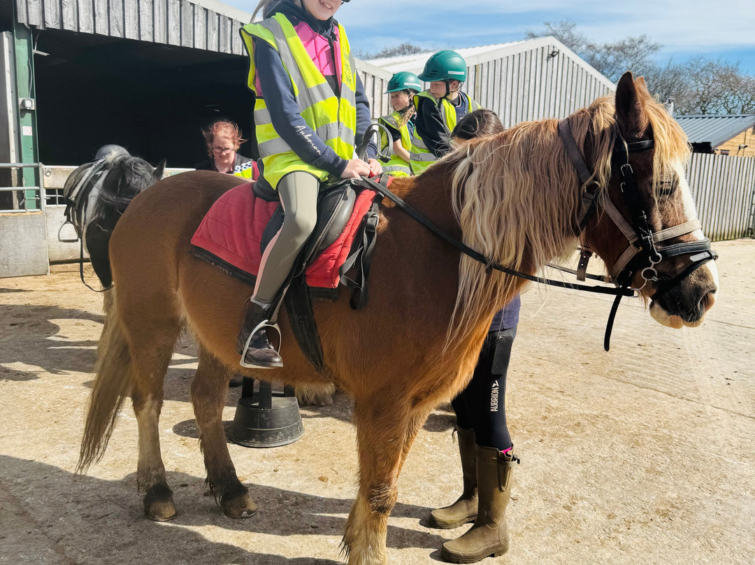 Braeden Pony Trekking-兰开斯特必去景点