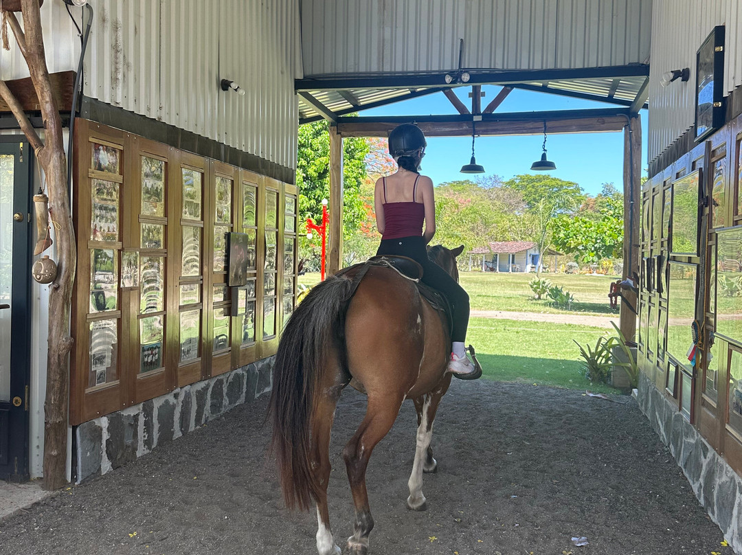 Finca La Esperanza-萨迪纳尔必去景点