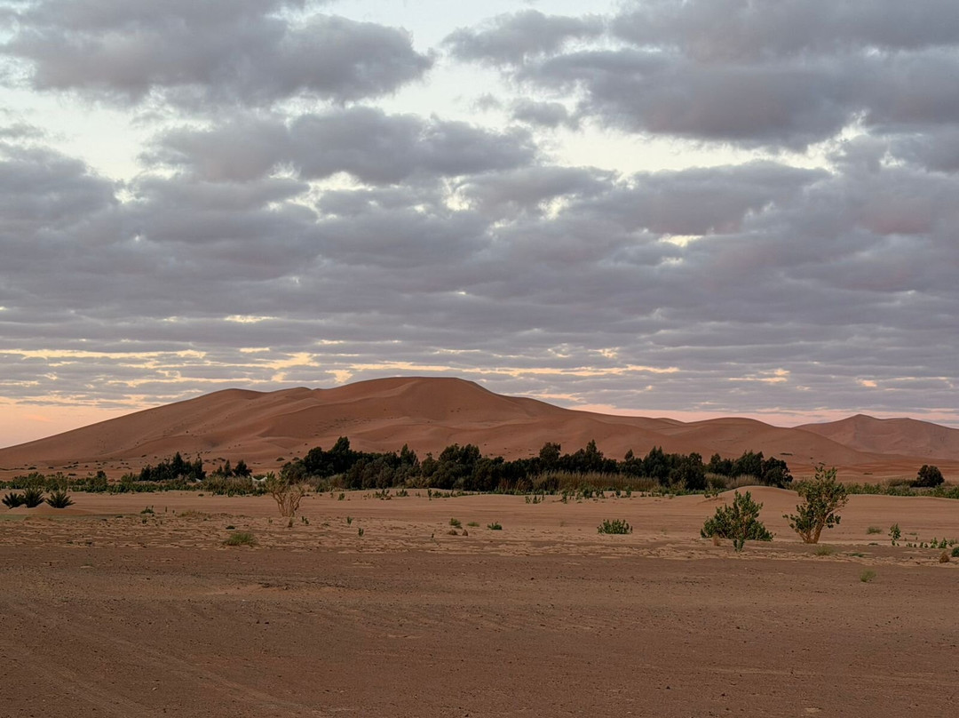 Merzouga Discovery Tours-马拉喀什必去景点