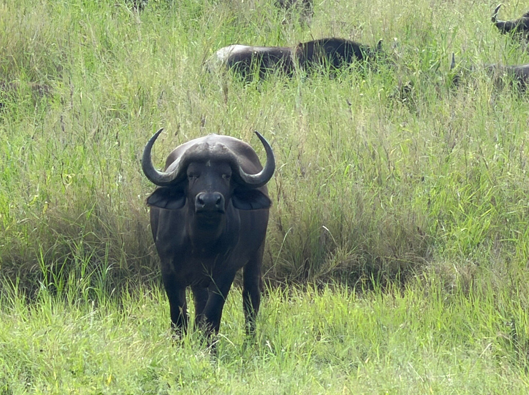 Touched By Nature-雾观必去景点