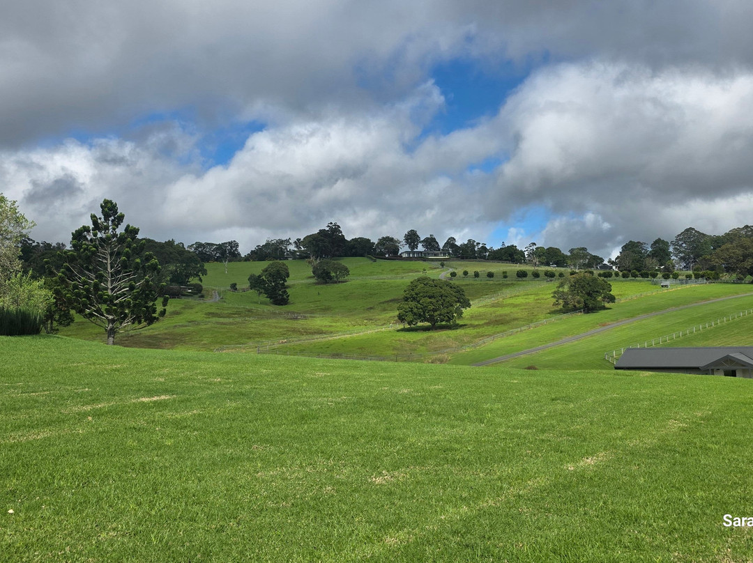 比奇蒙特庄园主图