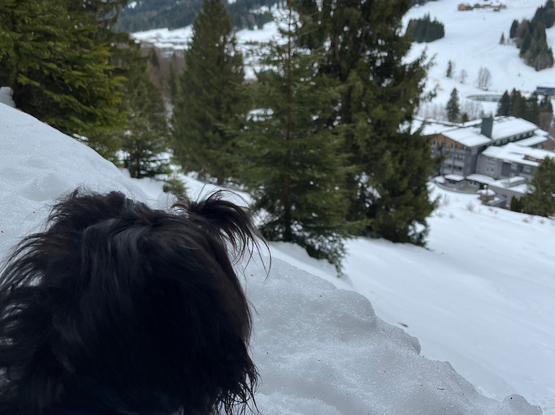 Oberjoch - Familux Resort主图