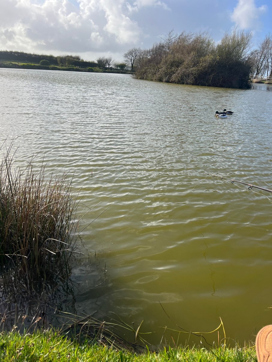 Warcombe Farm Camping Park-旅行者
