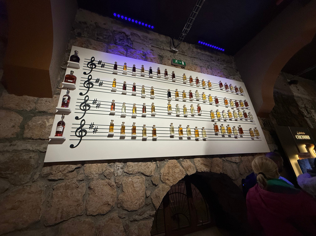 ARARAT Museum-埃里温必去景点