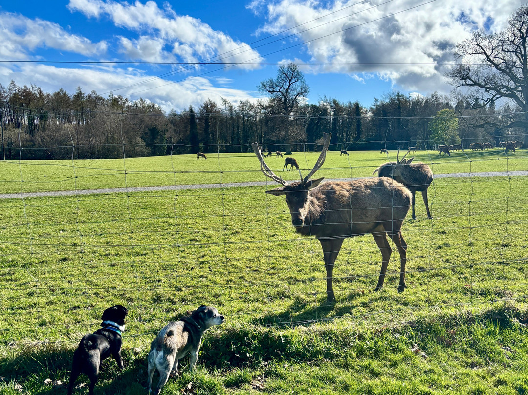 Gosford Forest Park-阿尔马必去景点