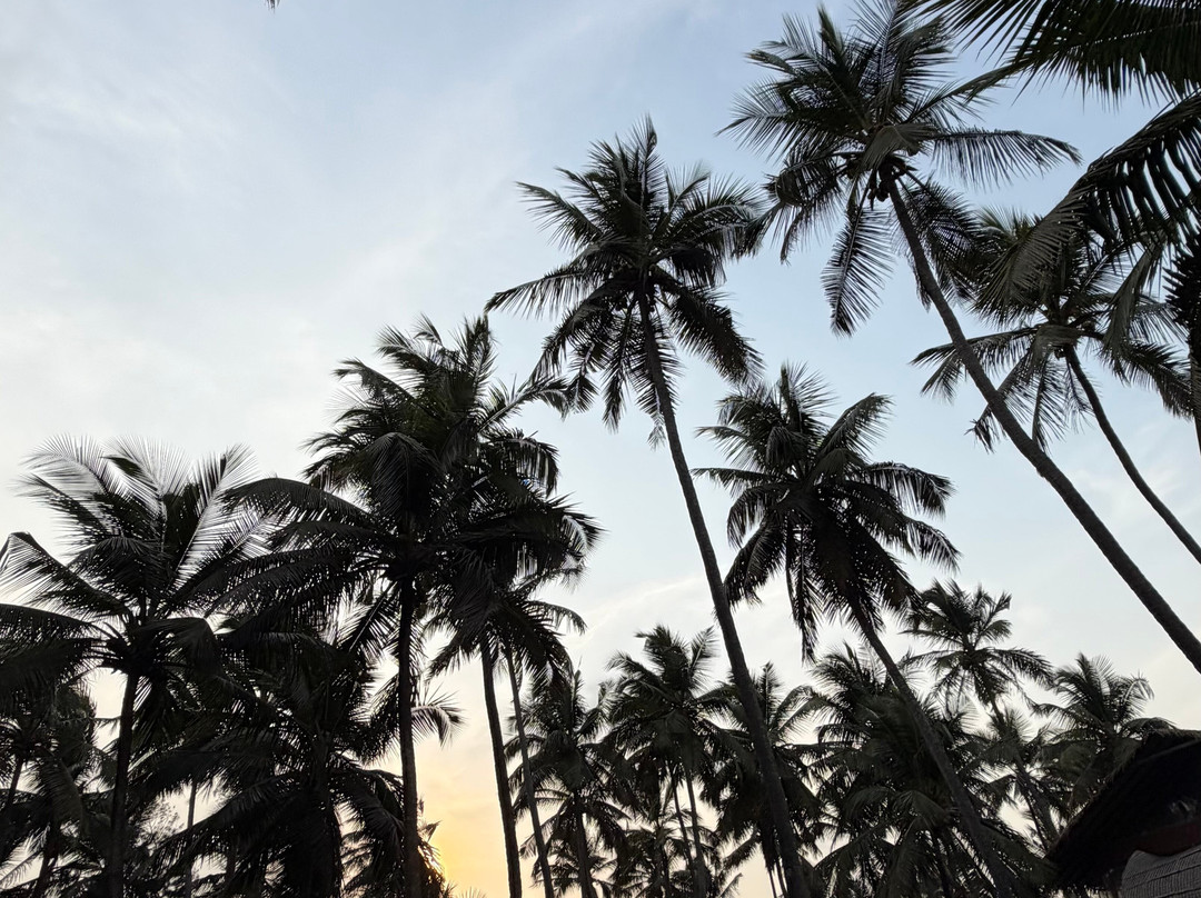 喀拉拉邦泰贝卡Spa度假村主图