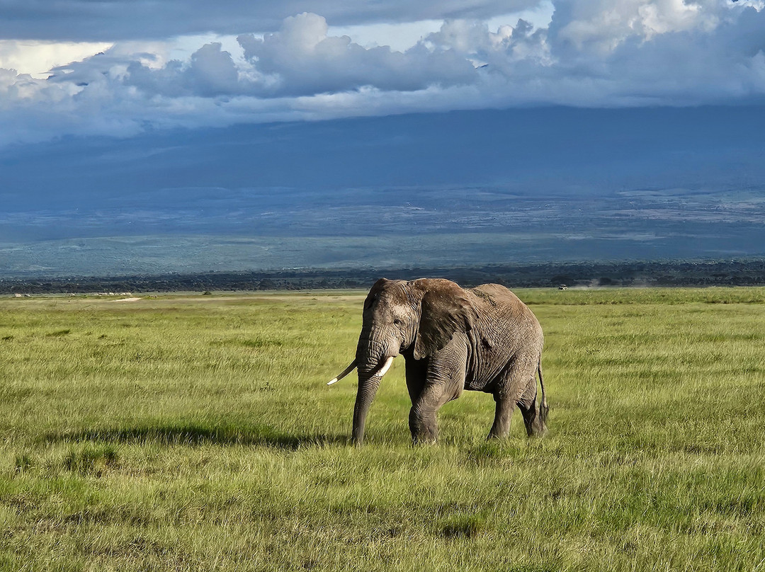 Shanjoy Tours and Safaris-Kikuyu必去景点