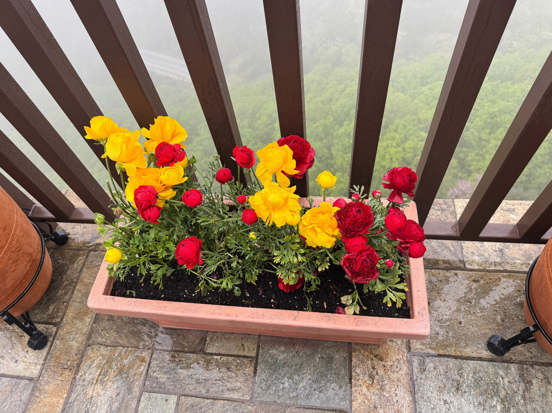 皮尔格斯阿达奇迪酒店主图