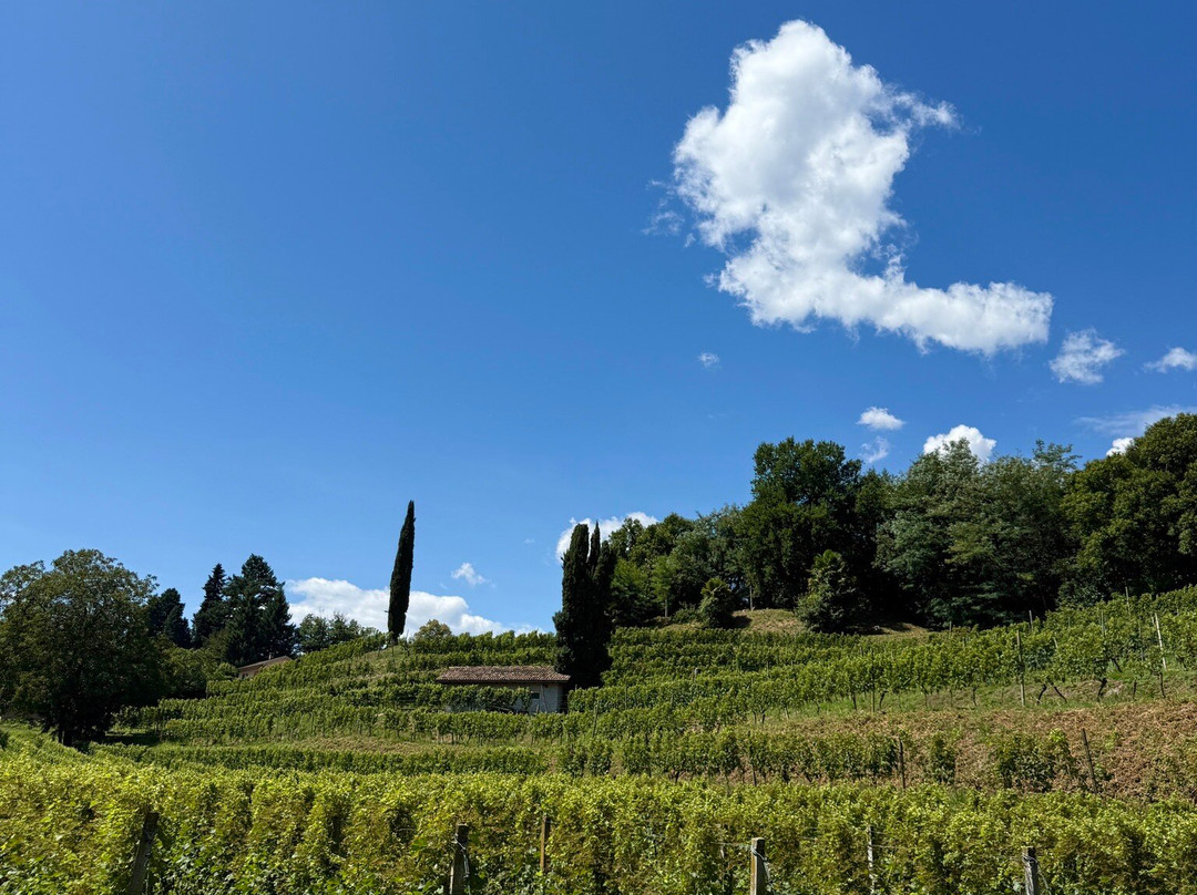 普林西比帕克酒店主图