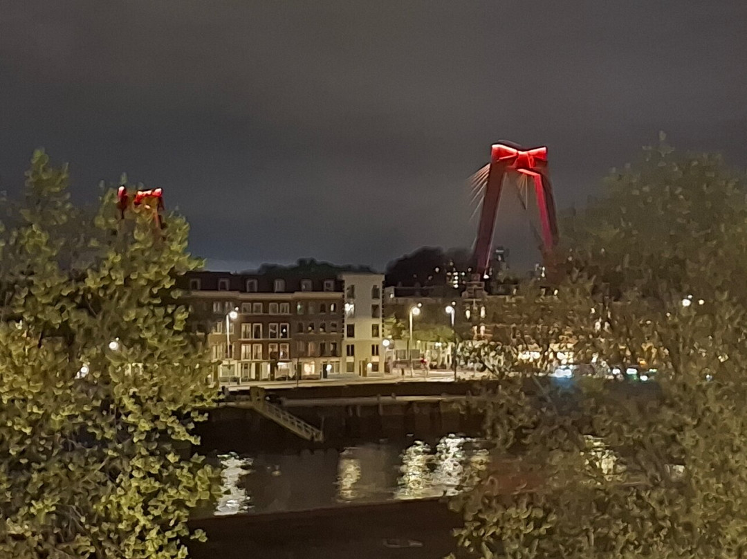 Willemsbrug-鹿特丹必去景点