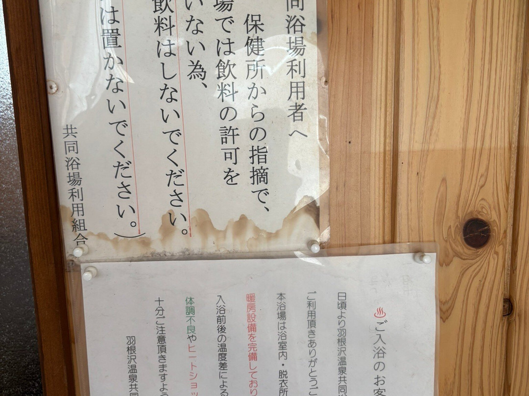 Hanesawa Onsen Kyodo Yokujo-鲑川村必去景点