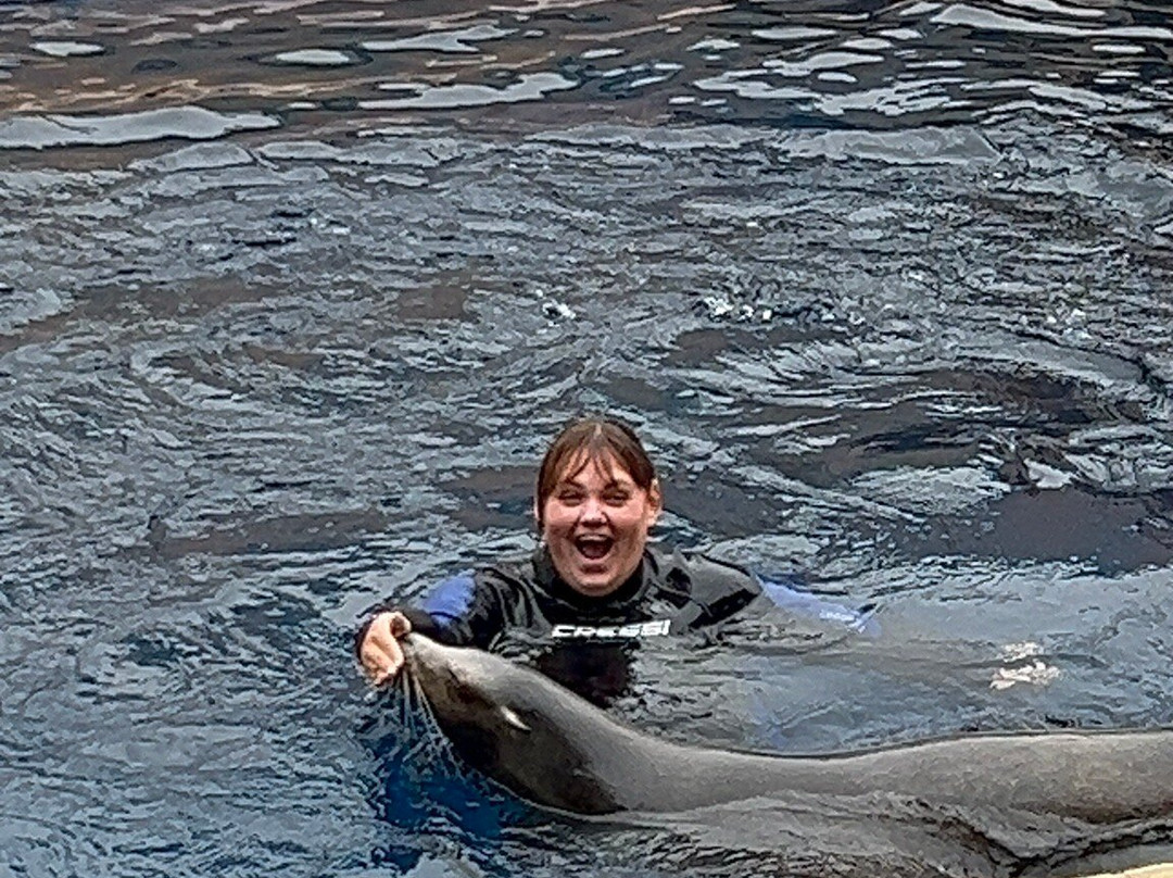 海洋世界水族馆-贝尼多姆必去景点