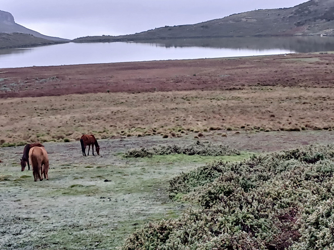 Bale Mountains Trekking Tours Ethiopia-Bale Robe必去景点