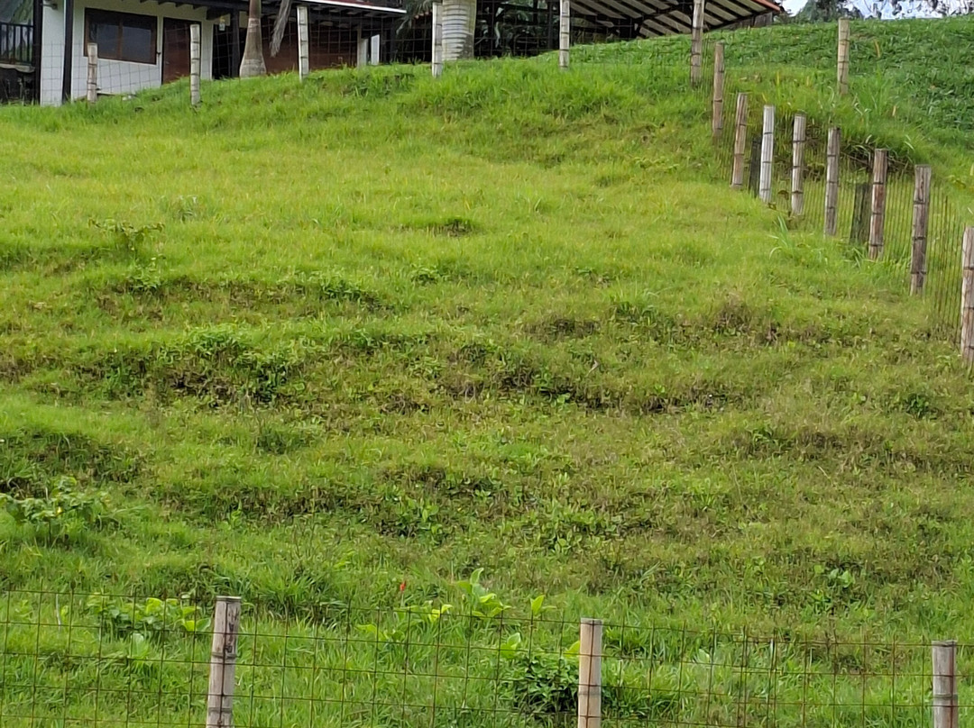 La Huerta Hotel主图