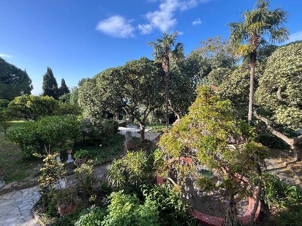 Villa del Parco B&B主图