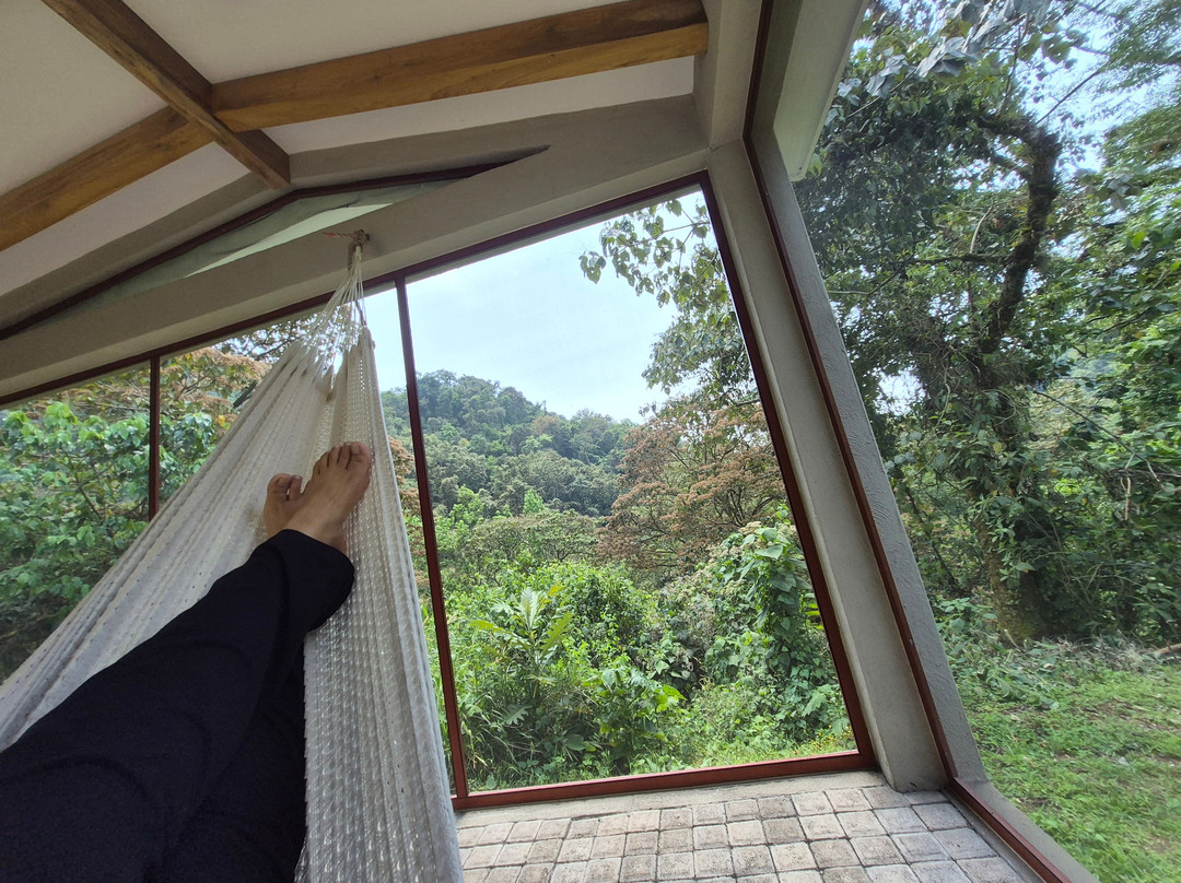 Boscana Forest Resort & Residence