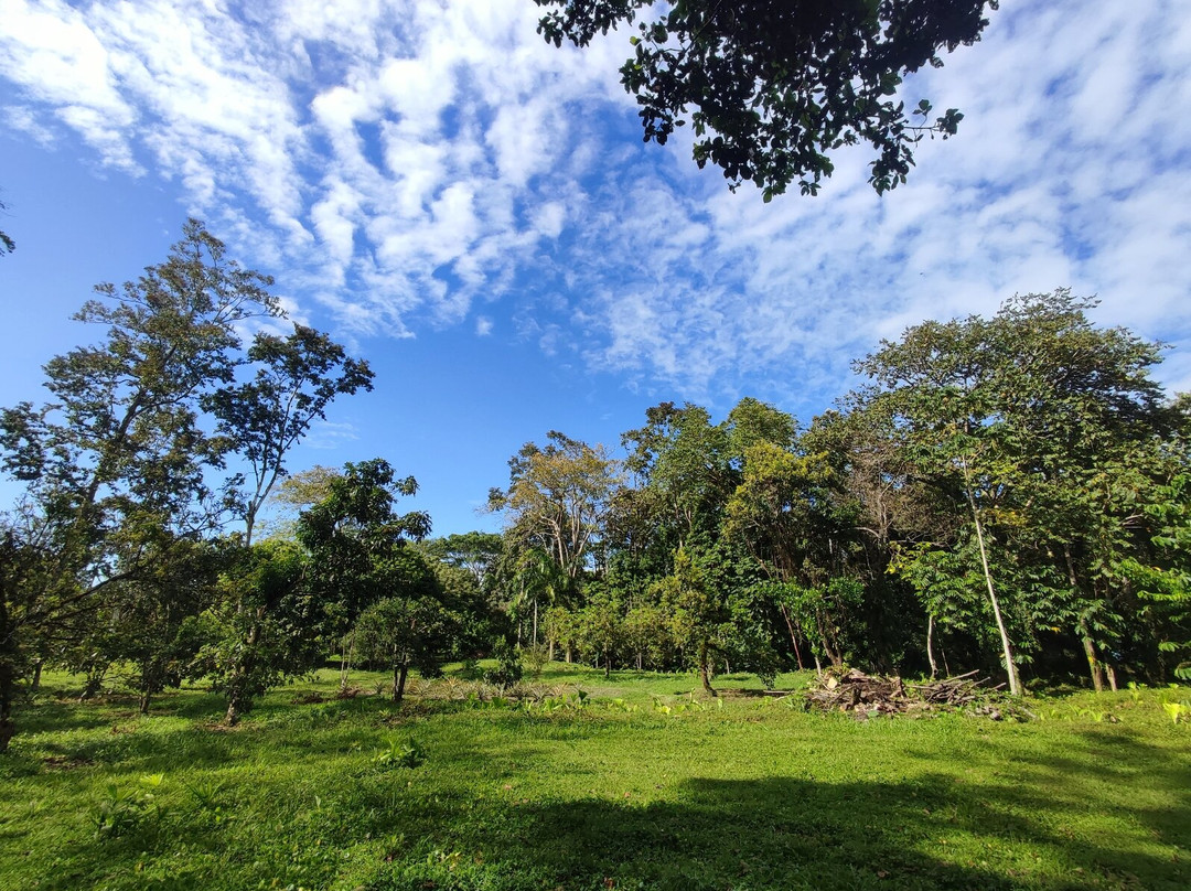 Old Reef Farm  - Fruit Tour-卡维塔必去景点