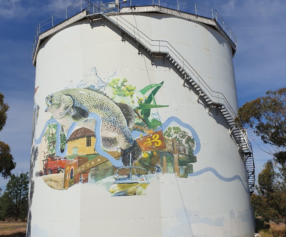 Narrandera Water Tower Art-Narrandera必去景点