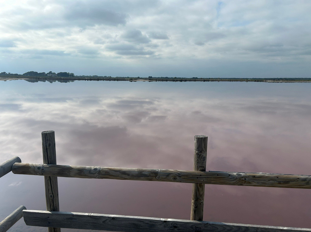 Salin d'Aigues-Mortes-艾格莫尔特必去景点