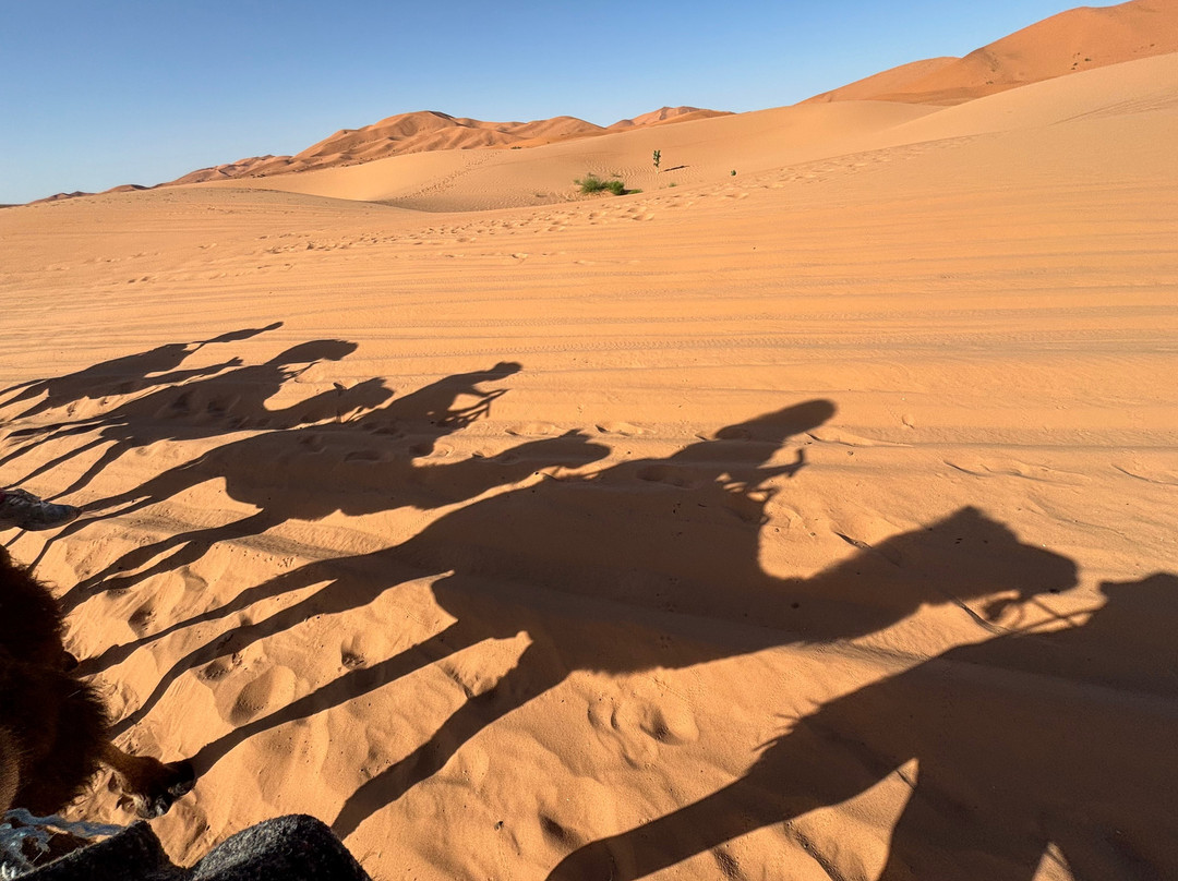 Desert Maroc Tours - Day Tours-扎古拉必去景点