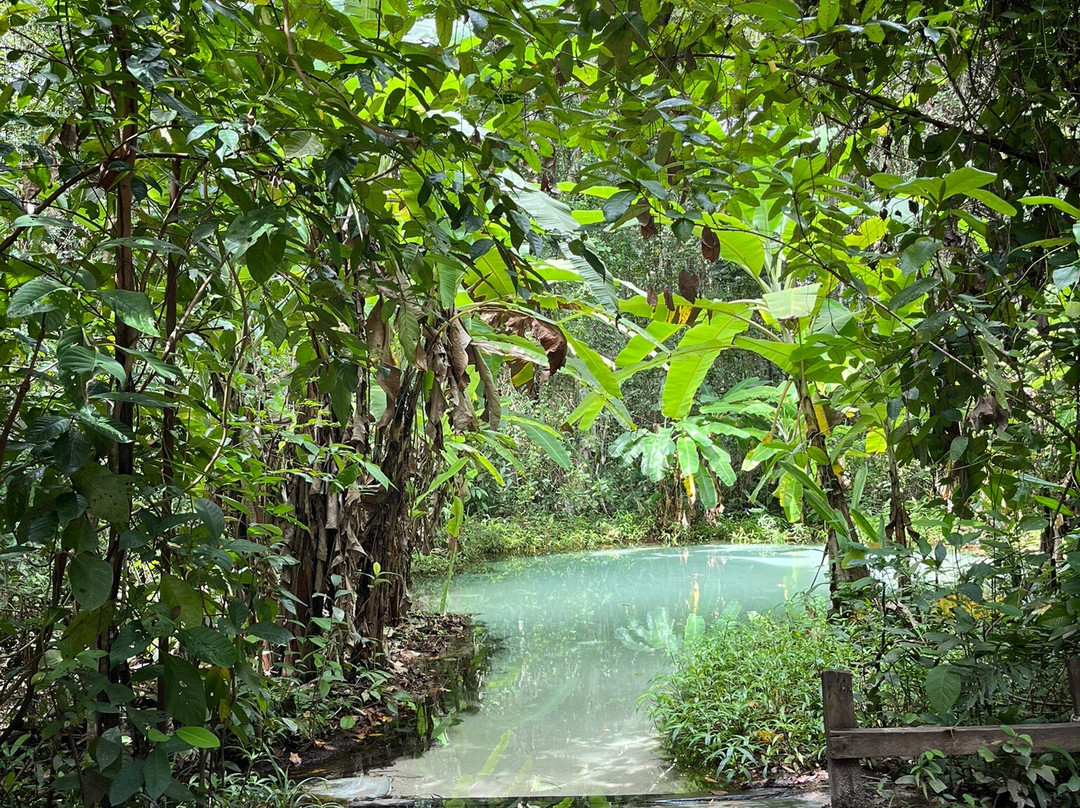 Fervedouro do Ceica-Mateiros必去景点