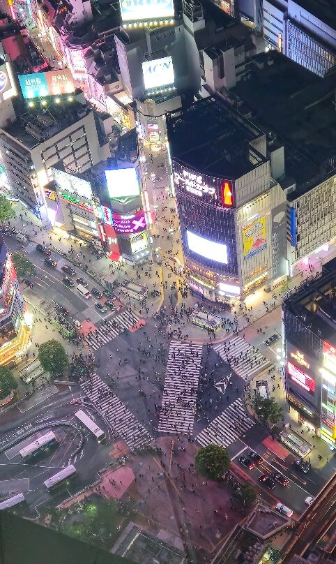 Shibuya Sky-涩谷区必去景点