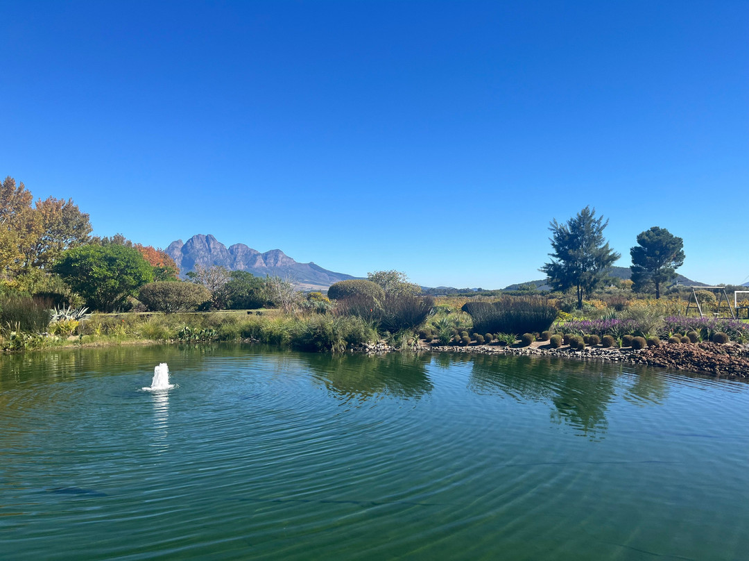 Franschhoek Wine Tram-法兰舒克必去景点