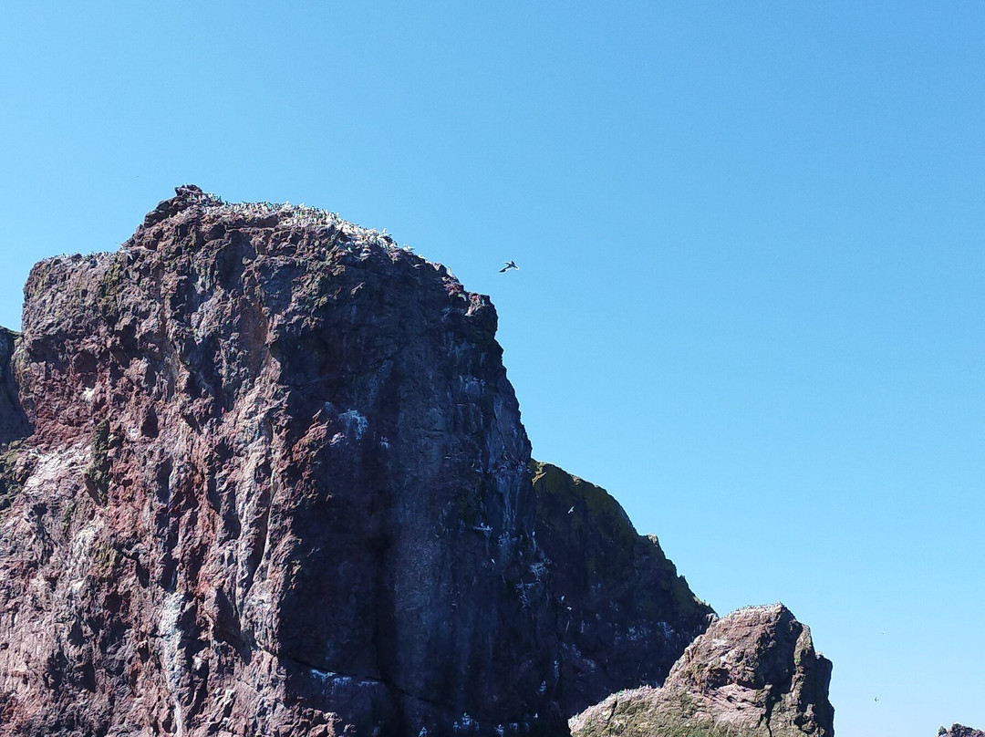 Eyemouth Rib Trips-Eyemouth必去景点