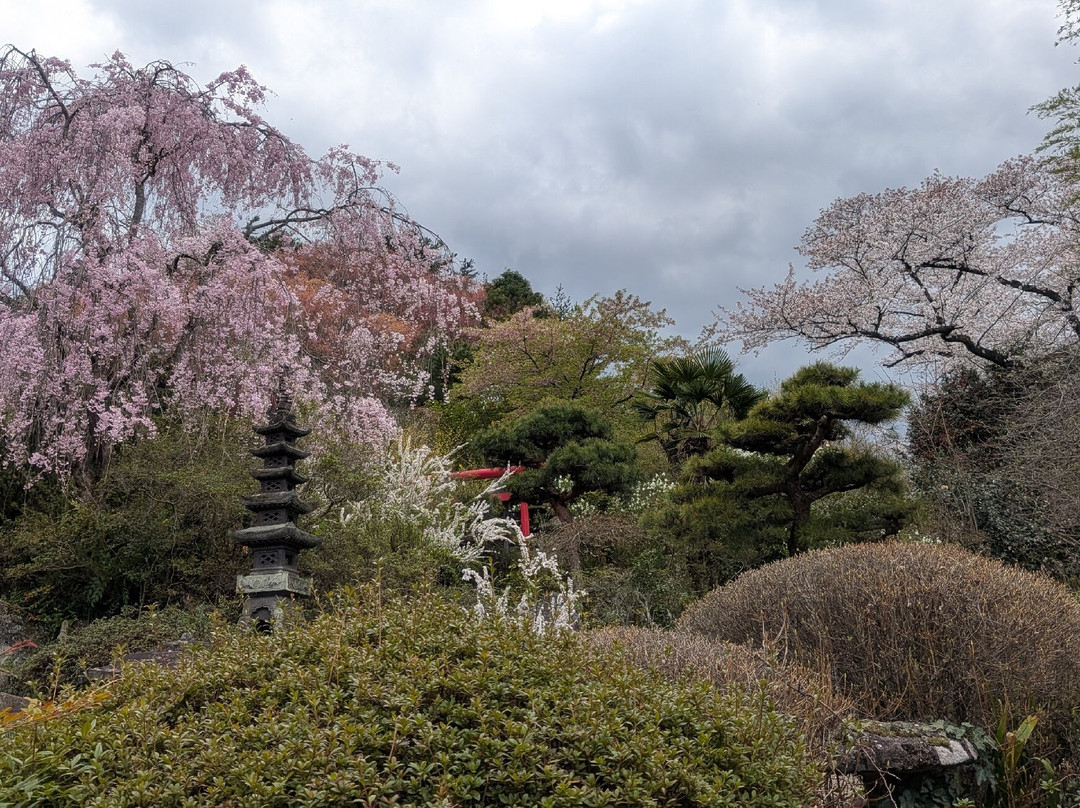 Hanamiyama Park-福岛市必去景点