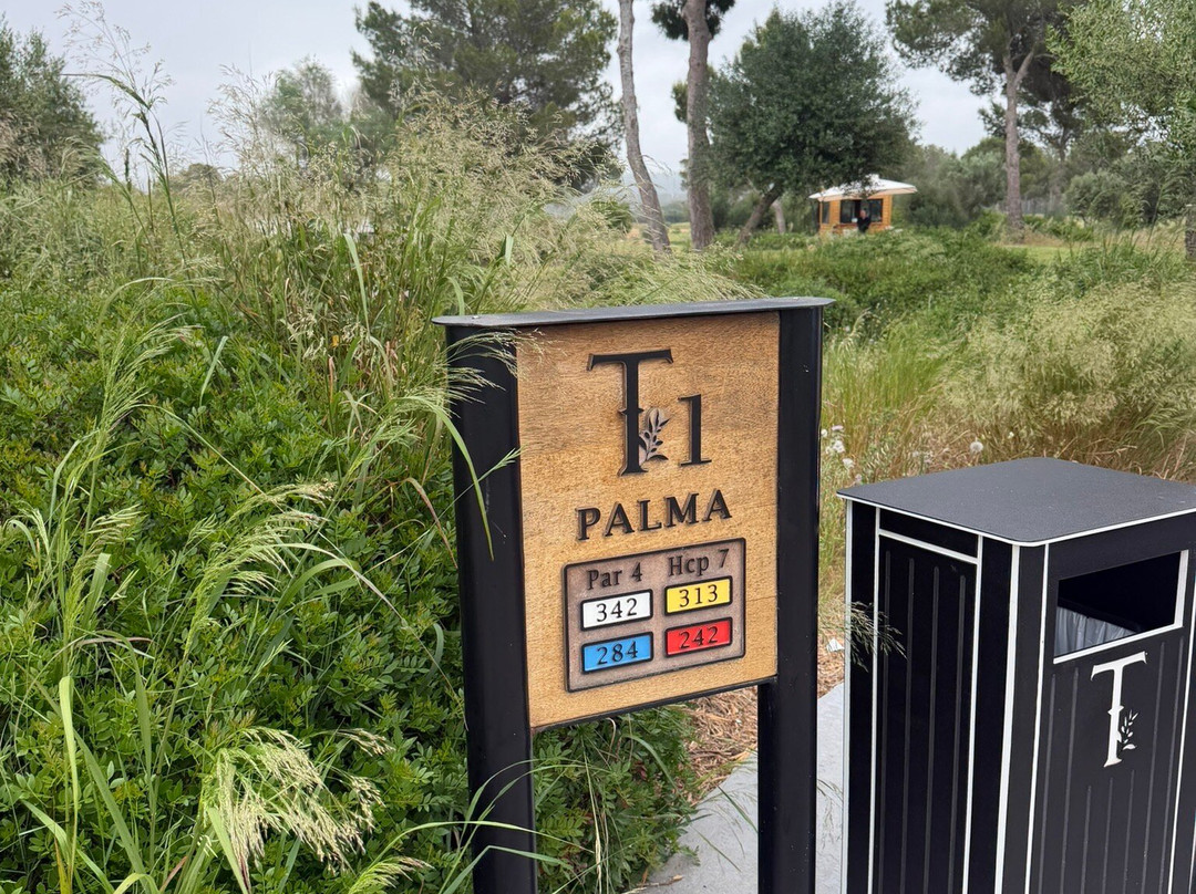 T Golf Palma-马洛卡帕尔马必去景点